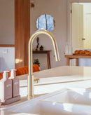 NERO MECCA Pull-Out Sink Mixer with Vegie spray function
