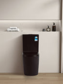 POSEIDON AVIS RIMLESS BACK TO WALL TOILET SUITE MATTE BLACK