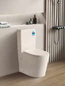 POSEIDON AVIS RIMLESS BACK TO WALL TOILET SUITE MATTE WHITE