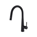 NERO DOLCE Pull-Out Sink Mixer with Vegie spray function