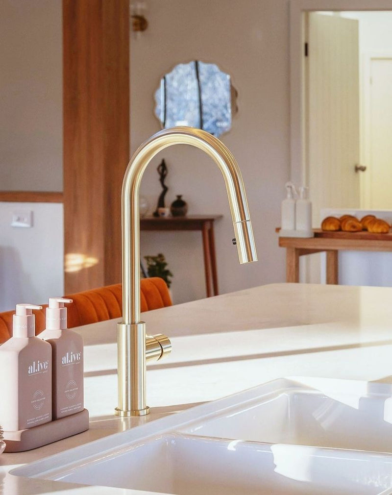 NERO MECCA Pull-Out Sink Mixer with Vegie spray function