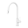 NERO MECCA Pull-Out Sink Mixer with Vegie spray function