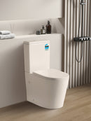 POSEIDON AVIS RIMLESS BACK TO WALL TOILET SUITE MATTE WHITE