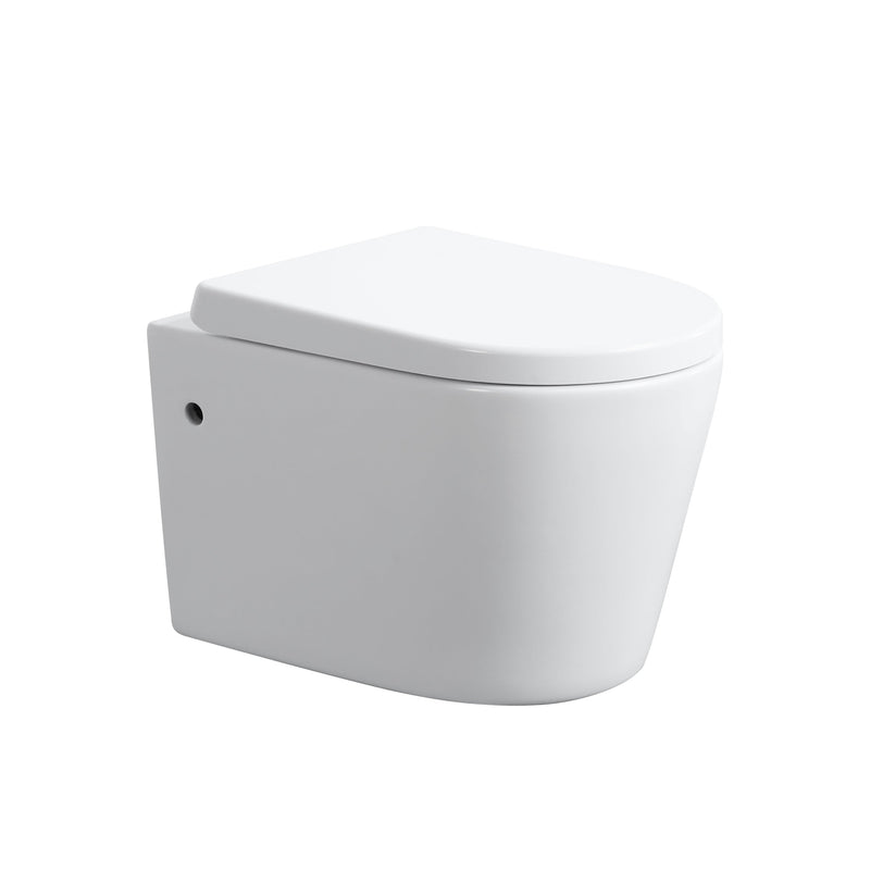 POSEIDON AVIS RIMLESS WALL HUNG PAN GLOSS WHITE